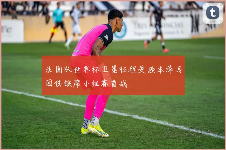 法国队世界杯卫冕征程受挫本泽马因伤缺席小组赛首战