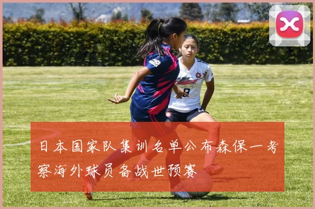 日本国家队集训名单公布森保一考察海外球员备战世预赛