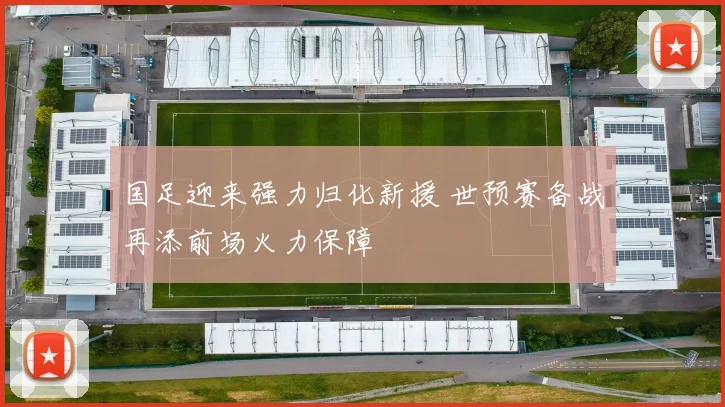 国足迎来强力归化新援 世预赛备战再添前场火力保障