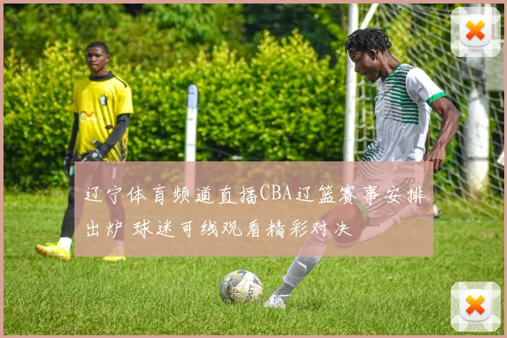 辽宁体育频道直播CBA辽篮赛事安排出炉 球迷可线观看精彩对决