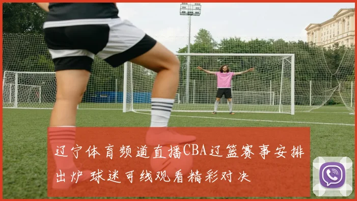 辽宁体育频道直播CBA辽篮赛事安排出炉 球迷可线观看精彩对决