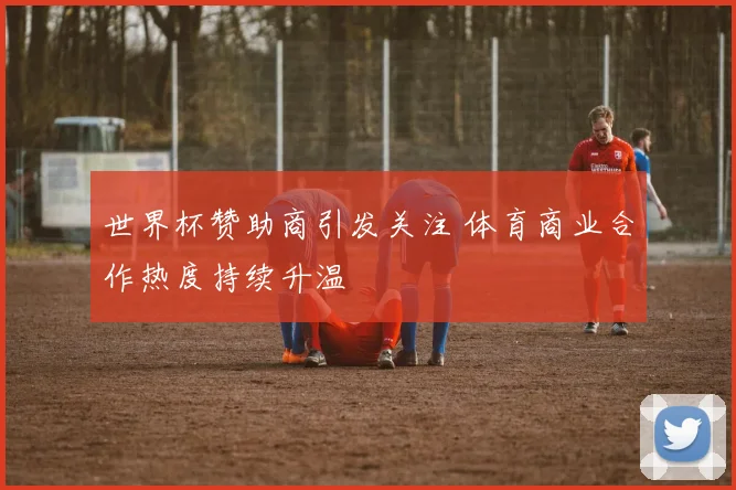 世界杯赞助商引发关注 体育商业合作热度持续升温